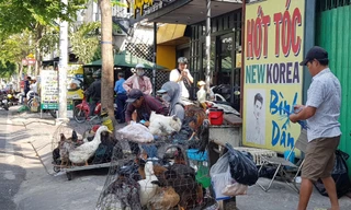 Nguy cơ cúm A từ Campuchia xâm nhập các tỉnh phía Nam