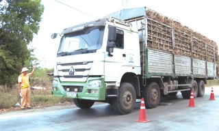 Cảnh sát Giao thông Gia Lai nỗ lực đảm bảo an toàn giao thông vụ mía
