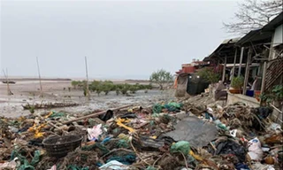 Cảnh báo vi nhựa mang gen kháng kháng sinh