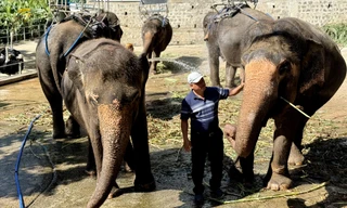 Người bén duyên, nặng nghiệp với thú rừng