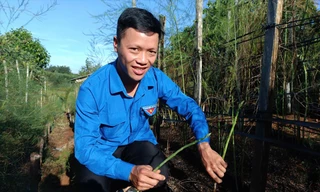 Khởi nghiệp ở 'cổng trời'