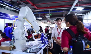 Hệ sinh thái ươm dưỡng start-up 