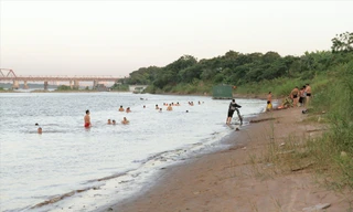 Chuyên gia Pháp hiến kế để Hà Nội có rừng trong phố 