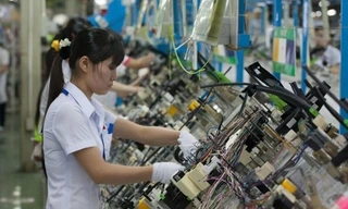 Doanh nghiệp lội ngược dòng 