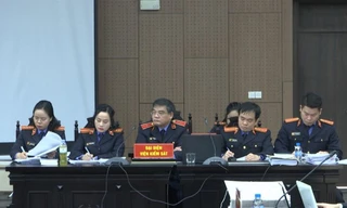 Đại diện Viện kiểm sát đề nghị tuyên bị cáo Nguyễn Thị Thanh Nhàn 30 năm tù