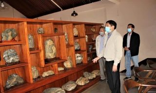 Ông Hiền (trước) giới thiệu đá Suiseki 