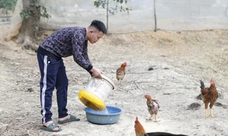 Cầu nối hoàn lương 