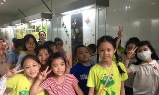 Sau hơn 2 tháng nghỉ hè, học sinh quay lại trường ôn tập là cần thiết. ảnh: Quỳnh Anh 