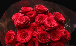 Ngày lễ tình nhân: Chọn quà xa xỉ hay cho đi?