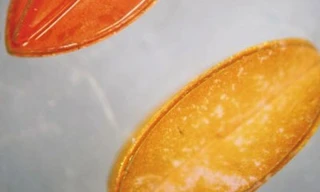 Robot siêu nhỏ bảo vệ võng mạc