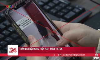 Bản tin của VTV24 về những nội dung "độc hại" trên TikTok: Gương mặt nào bị réo tên?
