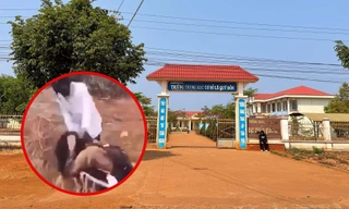 Mâu thuẫn trên mạng, nữ sinh lớp 9 ở Gia Lai bị nhóm bạn cùng trường hành hung