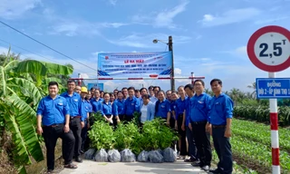 Tiền Giang: Ra quân Chiến dịch Kỳ nghỉ hồng và 6 Đội hình thanh niên tình nguyện