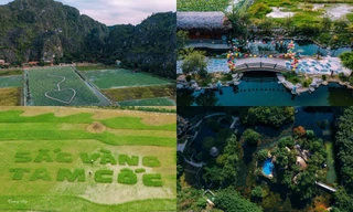 Cuối tuần này, đến Hang Múa, Tam Cốc ngắm cánh đồng lúa xanh đẹp nhất năm ở Ninh Bình