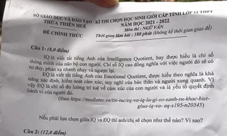 Đề thi học sinh Giỏi môn Văn ở Huế khiến dân mạng tranh cãi khi yêu cầu chọn giữa IQ và EQ