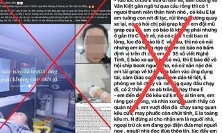 Thực hư thông tin cô gái trẻ bị bỏ thuốc mê giữa đường tại Đà Nẵng gây xôn xao