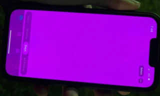 Hàng loạt iPhone 13 series bất ngờ gặp lỗi màn hình chuyển hồng, Apple phản hồi ra sao?