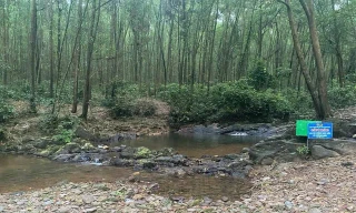 Hà Tĩnh: Hai học sinh tử vong khi đi tắm suối là anh em họ trong một gia đình