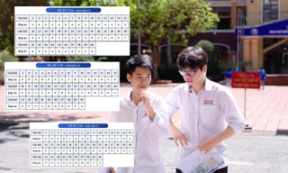 Đáp án tham khảo tất cả 48 mã đề môn tiếng Anh kỳ thi tốt nghiệp THPT 2025