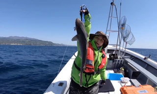 YouTuber Quỳnh Trần JP gây tranh cãi gay gắt khi đăng video đi câu cá mập con để ăn