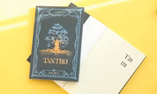 Sách đáng đọc: "Tàn Tro" - Hành trình tìm về yêu thương giữa thế giới hoang tàn hậu tận thế