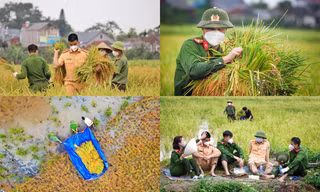 Khoảnh khắc ấm áp giữa mùa dịch: Lực lượng công an hỗ trợ bà con Bắc Giang thu hoạch lúa