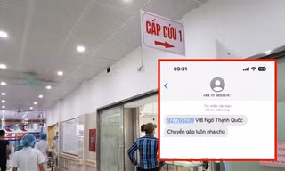 Phụ huynh bị gọi điện thông báo "con đang cấp cứu": Làm sao để nhận diện kẻ lừa đảo?