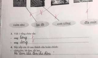 Học sinh lớp 1 làm bài sắp xếp câu tiếng Việt, đáp án của cô giáo khiến dân mạng tranh cãi