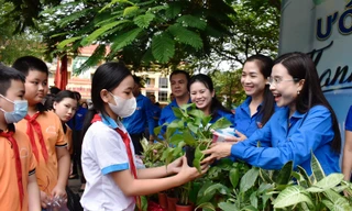 Tuổi trẻ tình nguyện góp sức xây dựng đô thị văn minh, giải quyết thủ tục hành chính