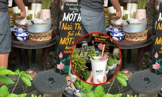 Xôn xao clip côn trùng bu kín tại quán nước Mót nổi tiếng Hội An, thực hư là thế nào?