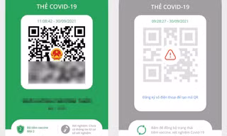 Người dùng phản hồi app PC-Covid gặp lỗi: Cập nhật thiếu mũi tiêm, không nhận được mã OTP
