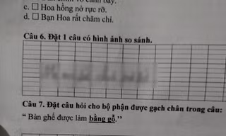 Học sinh Tiểu học đặt câu có hình ảnh so sánh, lấy ngay mẹ làm ví dụ khiến người đọc "bật ngửa"