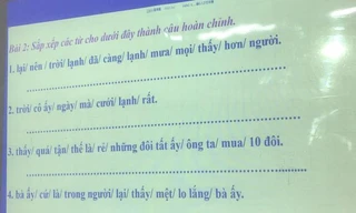 Bài tập Tiếng Việt của sinh viên Trung Quốc khiến netizen "xoắn não", đáp án đúng là gì?