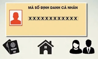 Mã định danh cá nhân là gì? Cách tra cứu mã định danh cá nhân trên điện thoại và máy tính