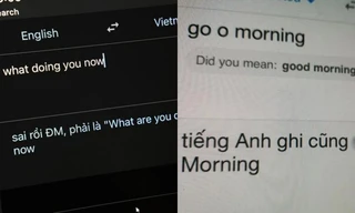 "Dở khóc dở cười" khi Google dịch trở nên... cục súc, hóa ra là do người dùng thích đùa!