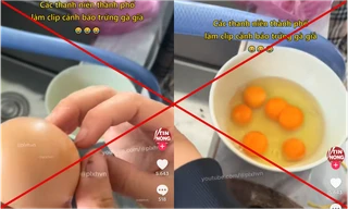 Thông tin "trứng gà giả" xuất hiện tràn lan trên mạng xã hội, thực hư ra sao?