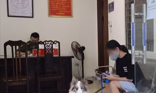 Dắt chó đi dạo trong ngày đầu Hà Nội thực hiện cách ly xã hội, cô gái bị phạt 2 triệu đồng