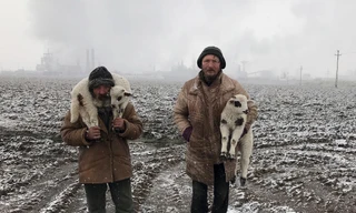 Không phải iPhone 12, bức ảnh đạt giải Nhiếp ảnh iPhone 2021 được chụp từ iPhone 7 Plus