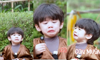 Biểu cảm của bé Dừa nhà Trang Lou - Tùng Sơn viral cõi mạng vì quá dễ thương