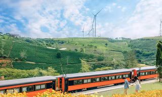 Địa điểm check-in mới toanh tại Đà Lạt: Khung cảnh đoàn tàu giữa cánh đồng hoa đẹp tựa trời Âu