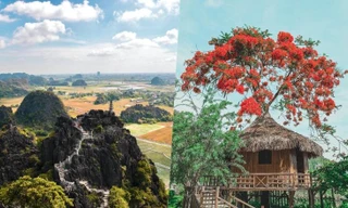 Điểm du lịch gần Hà Nội: Hang Múa (Ninh Bình) vẫn là nơi được yêu thích vào dịp đầu Xuân