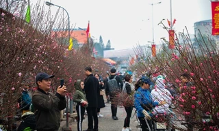 Thay đổi đáng chú ý về thời tiết miền Bắc từ ngày mùng 3 Tết Nguyên đán Ất Tỵ