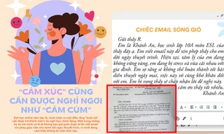 Đề thi chọn Học sinh Giỏi môn Văn tỉnh TT-Huế: "Cảm xúc cũng cần được nghỉ ngơi như cảm cúm"