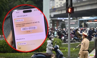 Từ ngày 15/9, người dân có thể dùng VNeID thay giấy tờ xe khi CSGT dừng xe kiểm tra?
