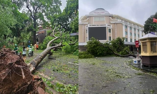 Ban chỉ đạo Quốc gia Phòng chống thiên tai khuyến cáo những việc cần làm sau bão số 3