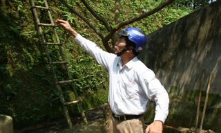 Kho báu của nghĩa quân Lam Sơn?