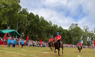 Độc nhất vô nhị Hội đua ngựa Gò Thì Thùng, ngựa chạy đến ngã xoài vì căng cơ 