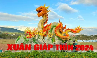 Sau Hoa hậu Mèo 2023, linh vật Rồng 2024 của cựu sinh viên ĐH Duy Tân tiếp tục được yêu mến