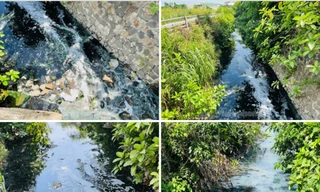 Người dân 'chịu không thấu' mùi hôi của 2 hồ điều hòa lớn nhất TP Quảng Ngãi