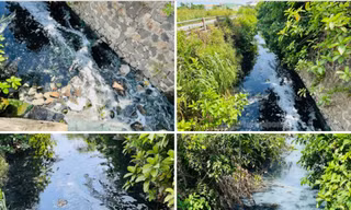 Người dân 'chịu không thấu' mùi hôi của 2 hồ điều hòa lớn nhất TP Quảng Ngãi